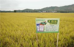 土壤墑情監測系統的應用效果怎么樣？