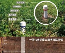 土壤墑情監測系統對農業的發展有哪些優勢？